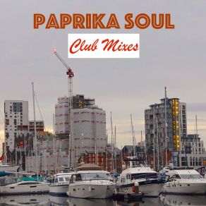 Download track Try My Side Of Love (R & B Mix) Paprika Soul