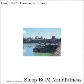 Download track Healing Lullaby For Deep Sleep And Neural Activation Sleep BGM Mindfulness