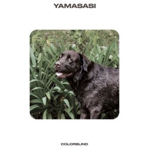 Download track She Screams Yamasasi