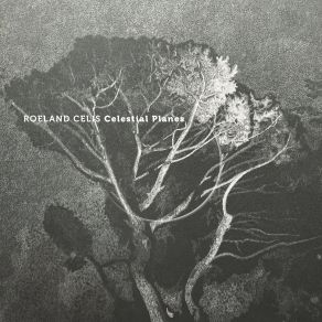 Download track The Lost Woods Roeland Celis