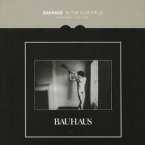 Download track Spy In The Cab (Alternate Mix) Bauhaus