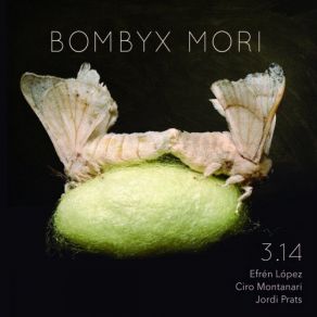 Download track Bombyx Mori' 3, 14, Jordi Prats, Efrén López, Ciro Montanari