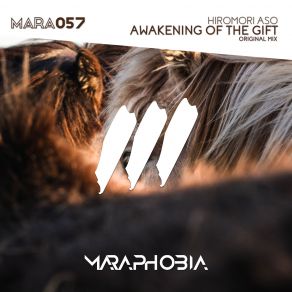 Download track Awakening Of The Gift (Original Mix) Hiromori Aso