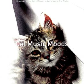 Download track Unique Ambience For Cute Cats Cat Music Moods