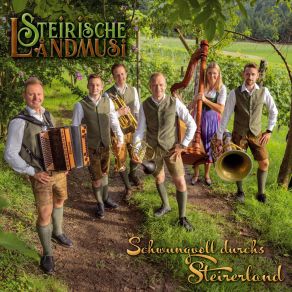 Download track Passts Auf! Steirische Landmusi