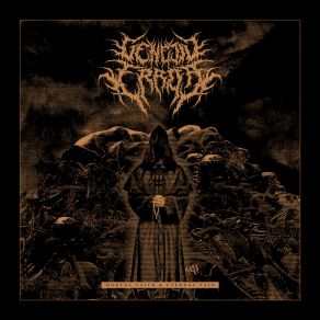 Download track Misandria Genetic ErrorAn Empty City