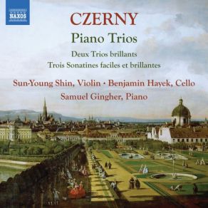 Download track Sonatina For Piano Trio In G Major, Op. 104 No. 1 II. Rondo. Allegro Piacevole Benjamin Hayek, Samuel Gingher, Sun-Young Shin