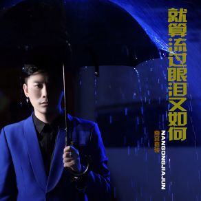 Download track 就算流过眼泪又如何 (伴奏) 南宫嘉骏