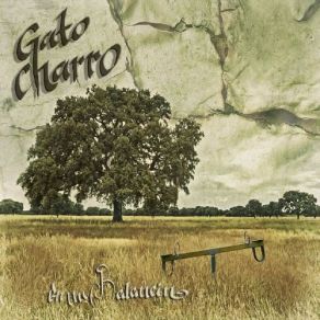 Download track CariNo Y Dolor Gato Charro