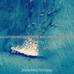 Download track Simplistic Music For Summertime Bossa Nova Orchestra