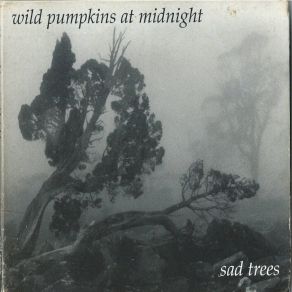 Download track Dear Michele Wild Pumpkins At Midnight