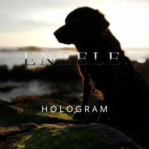 Download track Hologram Eneele