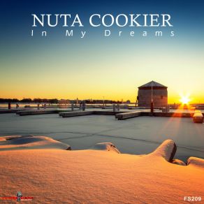 Download track Crystal Healing Nuta Cookier