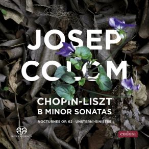 Download track Liszt Piano Sonata In B Minor, S. 178 I. Lento Assai - Allegro Energico Josep Colom