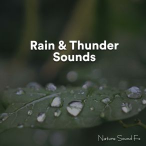 Download track Rain & Thunder Sounds Pt. 36 Nature Sound Fx