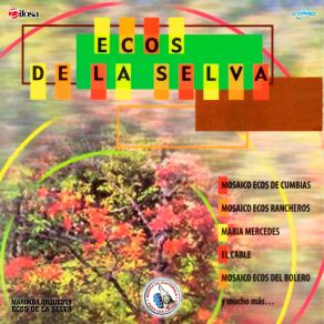 Download track No Existe El Amor Marimba Orquesta Ecos De La Selva