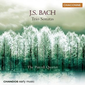 Download track 08. In D Minor, BWV 527 · II Adagio E Dolce Johann Sebastian Bach