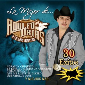 Download track Que Es El Amor Adolfo Urias Y Su Lobo Norteño