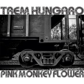 Download track Melatonine Pink Monkey Flower