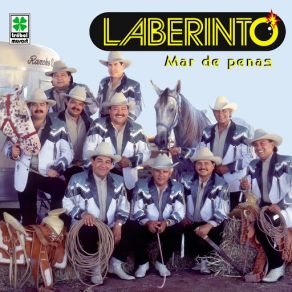 Download track El Muchacho Y El Potro Laberinto