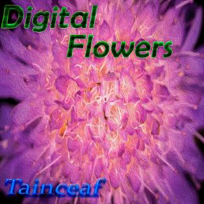 Download track Brilliance Tainceaf