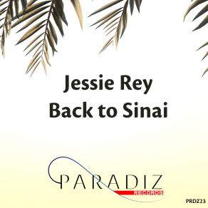 Download track Back To Sinai Jessie Rey