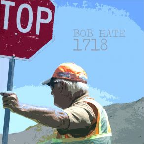 Download track Any Good Bob Hate