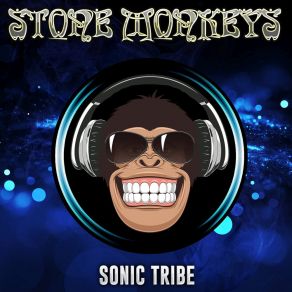 Download track Vertigo Sonic Tribe