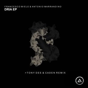 Download track Dria (Original Mix) Francesco Miele