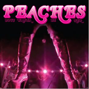 Download track Boys Wanna Be Her (Tommie Sunshine'S Brooklyn Fire Retouch) Peaches