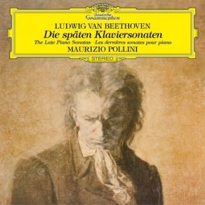 Download track 10-Piano Sonata No. 30 In E Major, Op. 109' 2. Prestissimo Ludwig Van Beethoven