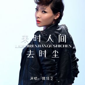 Download track 来时人间去时尘 (DJ彭锐版伴奏) 魏佳艺