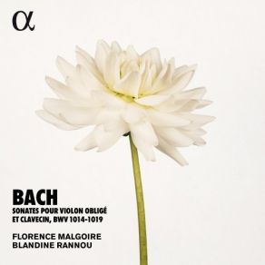 Download track 8. Sonata BWV 1017: 3. Adagio Johann Sebastian Bach