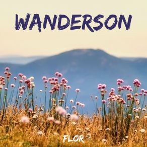 Download track Voz Do Coração Wanderson