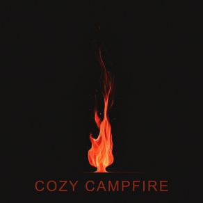 Download track Campfire At Night Fire Sounds