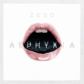 Download track Goodbye (Outro) Zesd