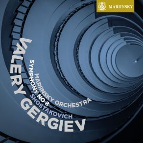 Download track Symphony No. 8 - IV. Largo Valery Gergiev, Mariinsky Orchestra