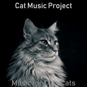 Download track Artistic Moods For Cats Cat Music Project