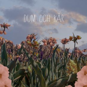 Download track Dum Och Kär Gammal