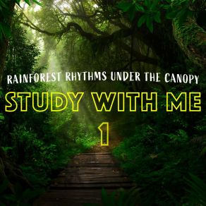 Download track Rainforest Rhythms Under The Canopy, Pt. 2 Bryan Maxwell