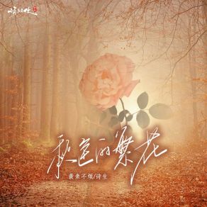 Download track 秋色的繁花 羡鱼不烦