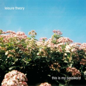 Download track Convolute Leisure Theory