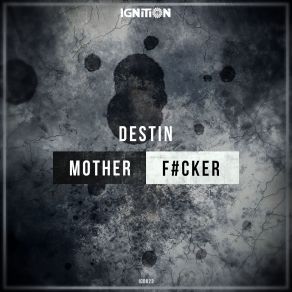 Download track Motherfucker (Radio Edit) Destin