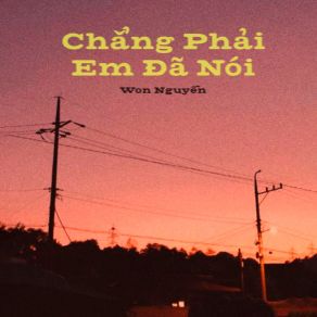 Download track Chẳng Phải Em Đã Nói (Instrumental) Won Nguyễn