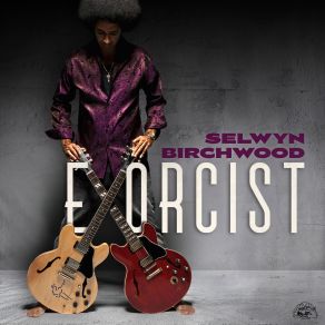 Download track Swim At Your Own Risk Selwyn Birchwood