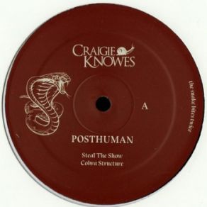 Download track Polywater Acid Posthuman