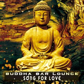 Download track Surfing Passions Buddha Bar Lounge