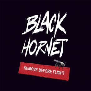 Download track Stand Up Black Hornet