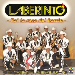 Download track Meneando La Cola Laberinto