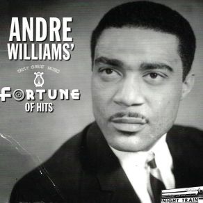 Download track You Know I Can't Refuse Andre Williams